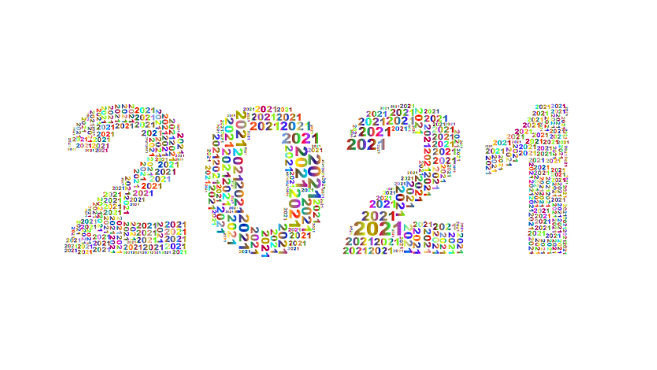 resumen año 2021